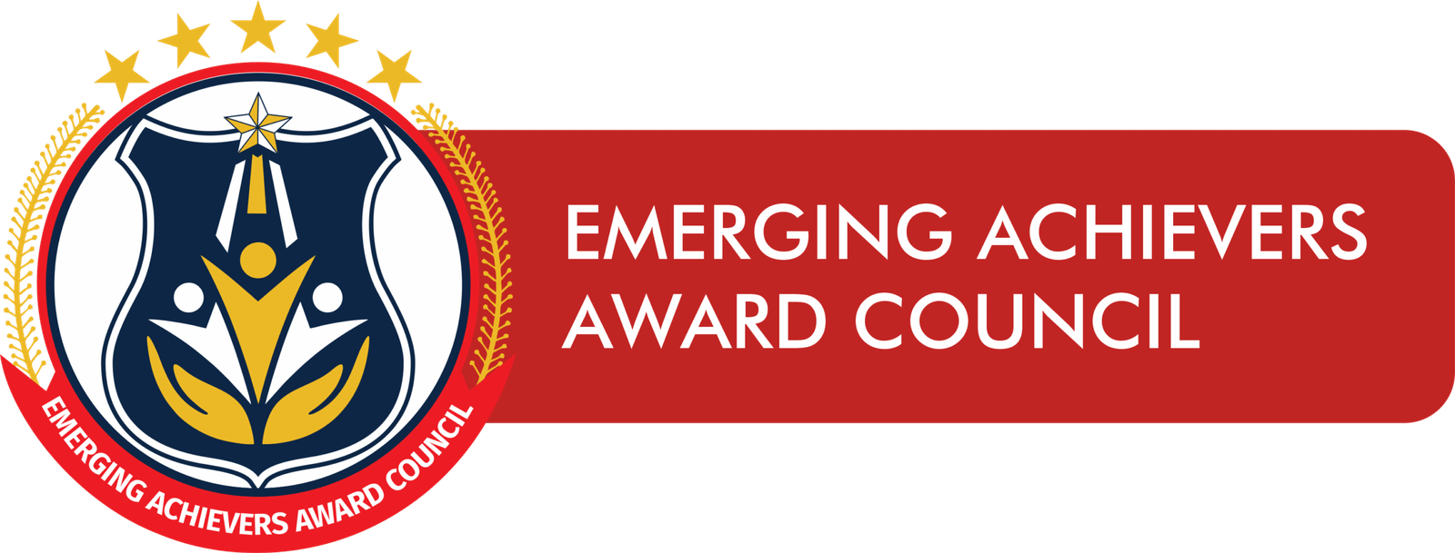 Emerging Achievers Award Council (1)